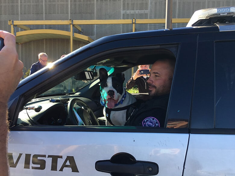 officers_take_shelter_dogs_on_patrols_to_give_them_higher_chances_of_getting_adopted